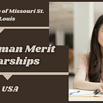 Freshman Merit Scholarships at University of Missouri St. Louis USA, 2022 Freshman Merit Scholarships at University of Missouri St. Louis USA, EXPOCODED.COM